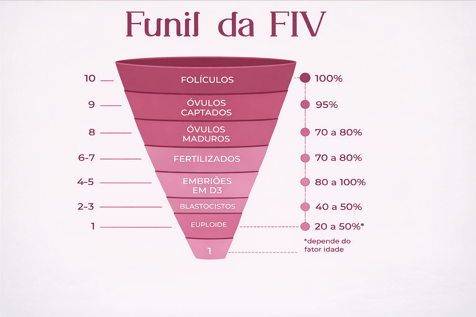 funil da fertilização in vitro
