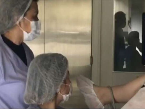 Como acontece uma fertilização in vitro - Dra Mila Cerqueira - Reprodução assistida Florianópolis