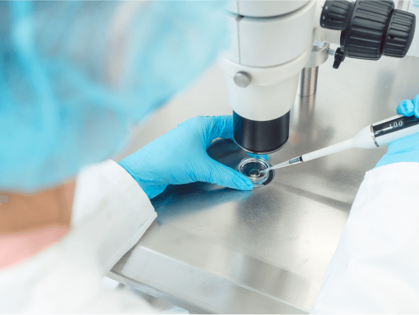 Congelamento de óvulos - Dra Mila Cerqueira - Ginecologista florianoopolis