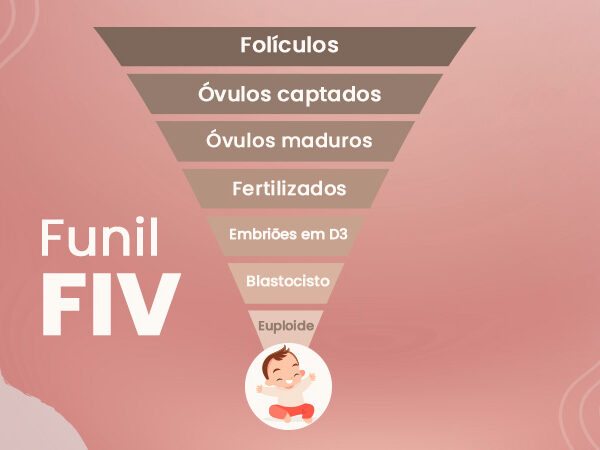 Funil da fiv - Dra Mila cerqueira - ginecologista Florianópolis