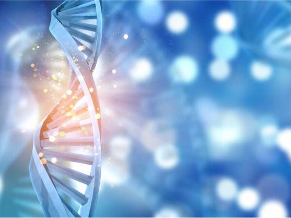 Quanto da infertilidade é genética? - dra Mila Cerqueira - Ginecologista Florianopolis