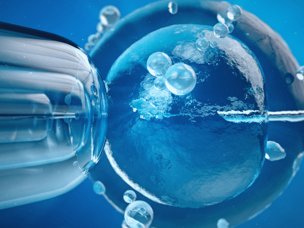 inseminação artificial x fertilização in vitro - Dra Mila Cerqueira - Ginecologista Florianópolis