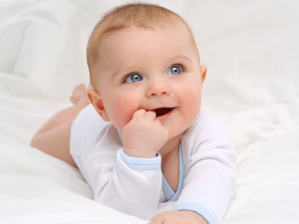 planejamento familiar - dra Mila cerqueira - Ginecologista florianópolis