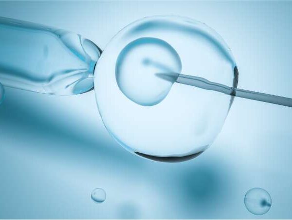 Novas regras para reprodução assistida no Brasil - Dra Mila Cerqueria - Ginecologista Florianopolis