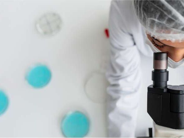 Quantos embriões podem ser transferidos - Dra Mila Cerqueira = Ginecologista Florianópolis