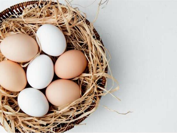 Reserva ovariana - Dra Mila Cerqueira - ginecologista Florianópolis