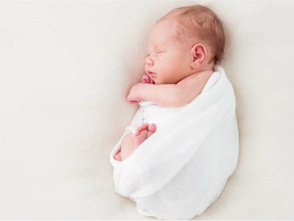 Reprodução humana - Ginecologista Florianópolis - Dra Mila Cerqueira