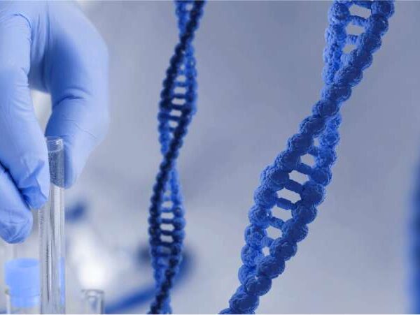 Testes Genéticos usados antes da implantação dos embriões na fertilização in vitro - Dra Mila Cerqueira - ginecologista Florianópolis